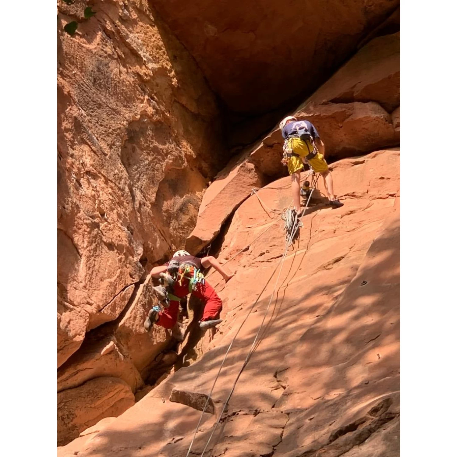 Petzl - Meteor Helmet - Klatrehjelm 7 Petzl - Meteor Helmet - Klatrehjelm - Billede 5